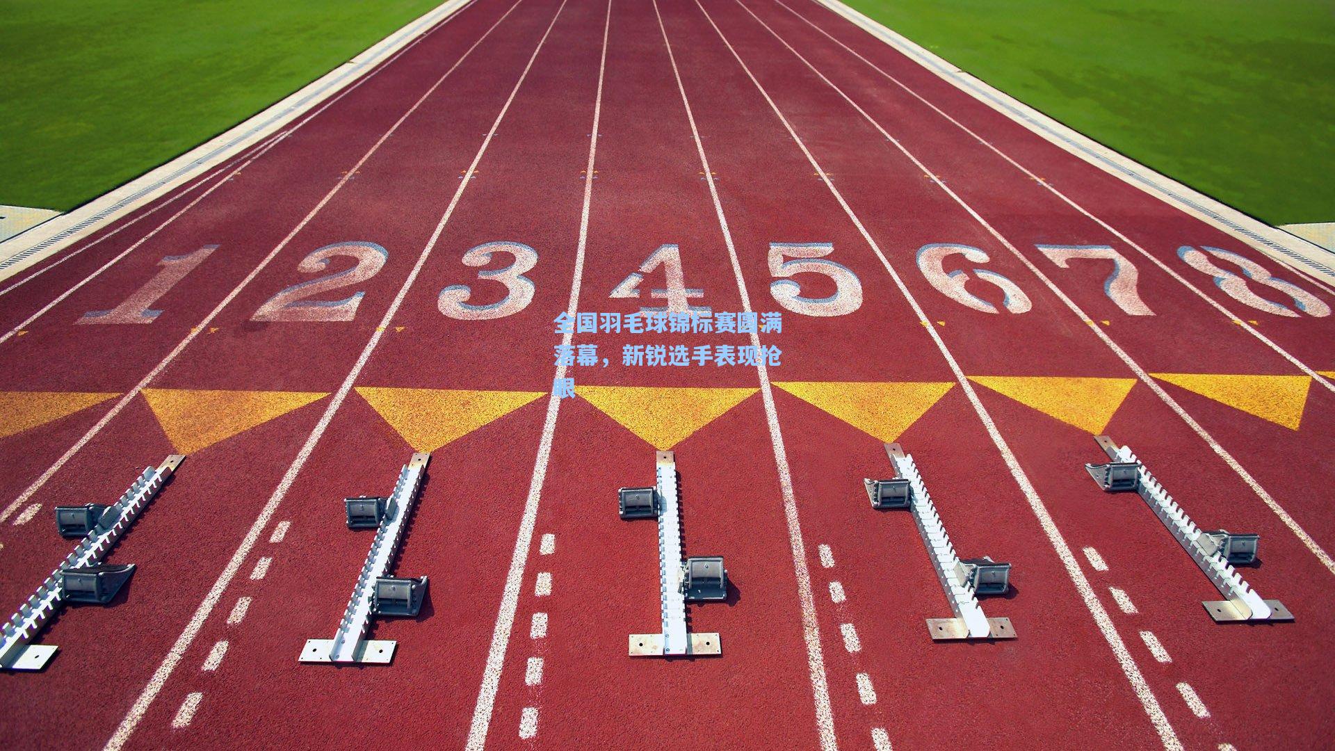 全国羽毛球锦标赛圆满落幕，新锐选手表现抢眼