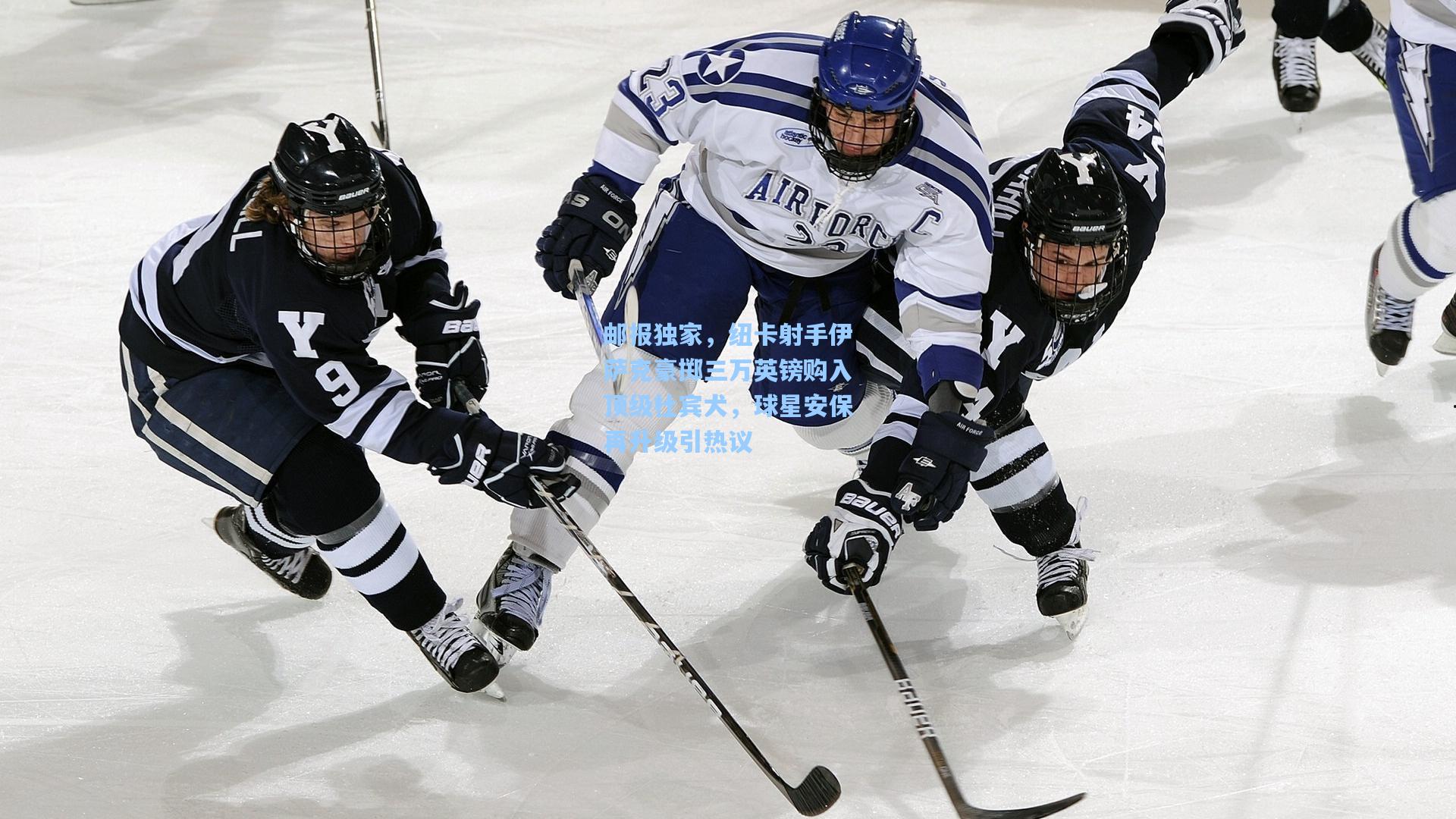 邮报独家，纽卡射手伊萨克豪掷三万英镑购入顶级杜宾犬，球星安保再升级引热议